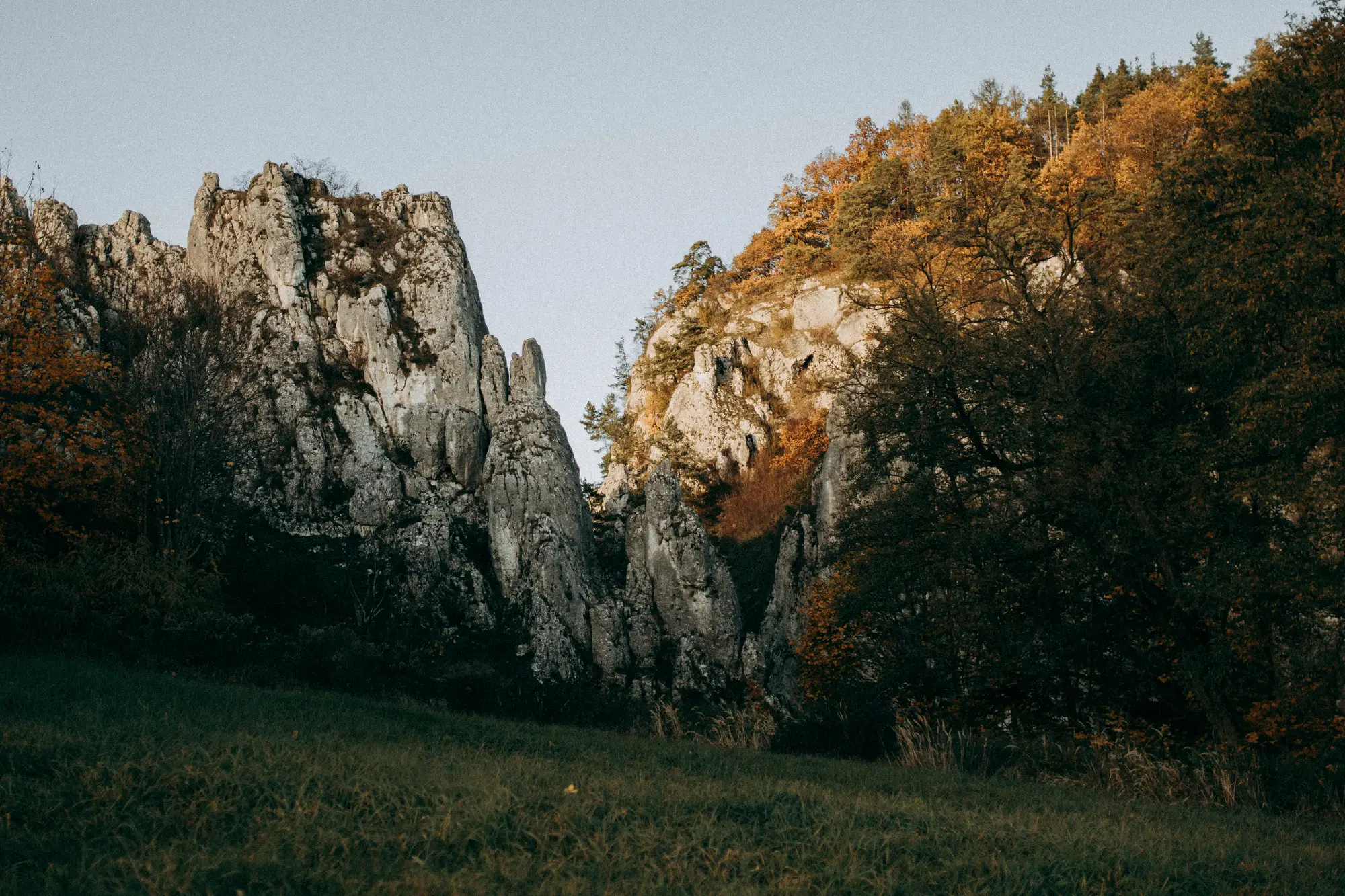 Portfolio rodzinne - zdjęcie 016
